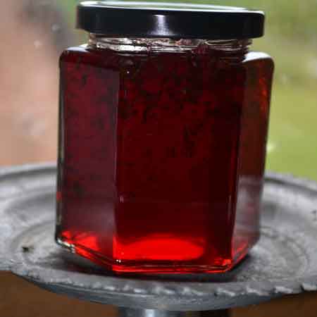 REDCURRANT AND MINT JELLY