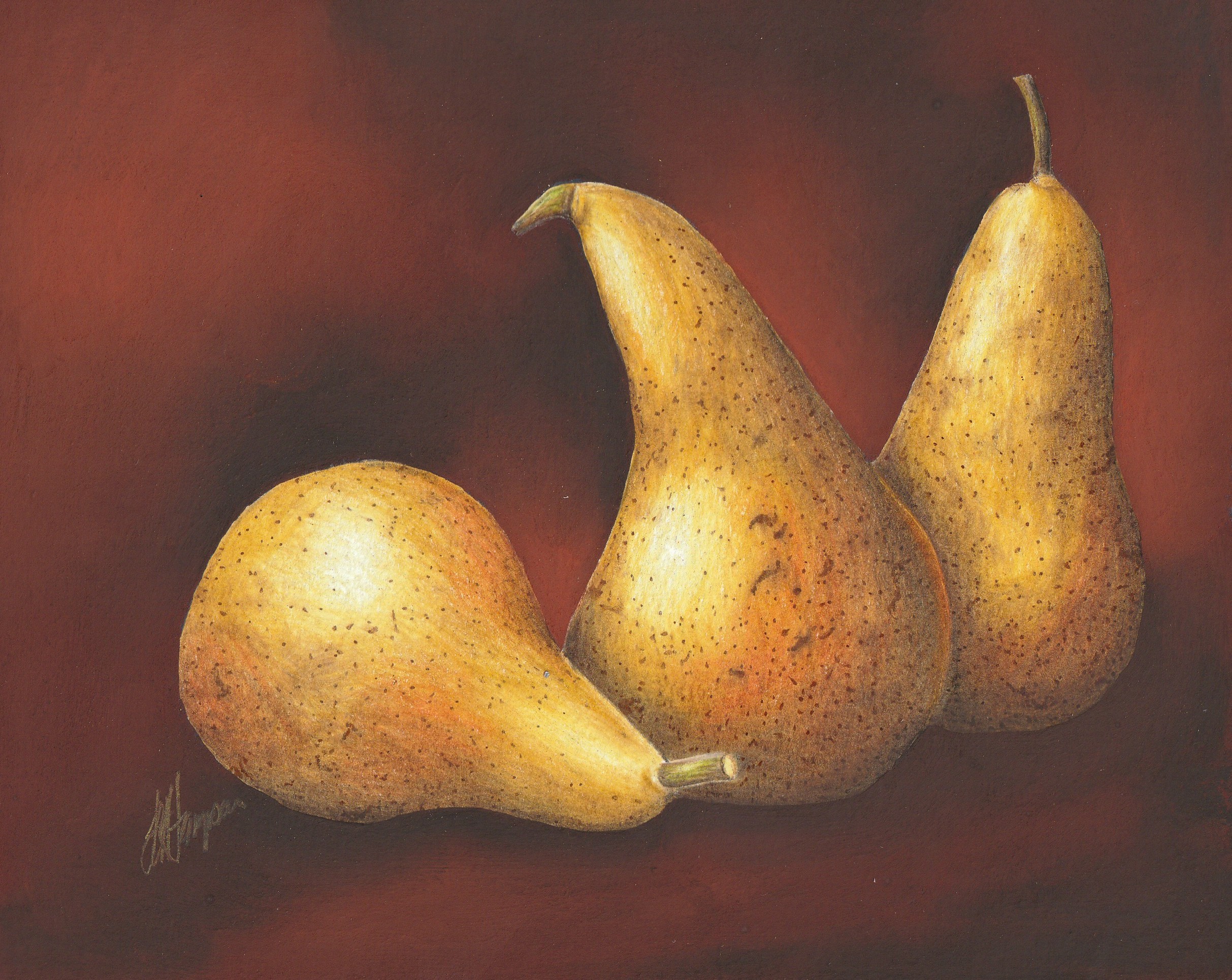 BOTANICAL COLOURED PENCIL DRAWING IN PERSON :: BEGINNERS/IMPROVERS - PEARS  ::  Tuesday 2nd December 2025 - Image 2
